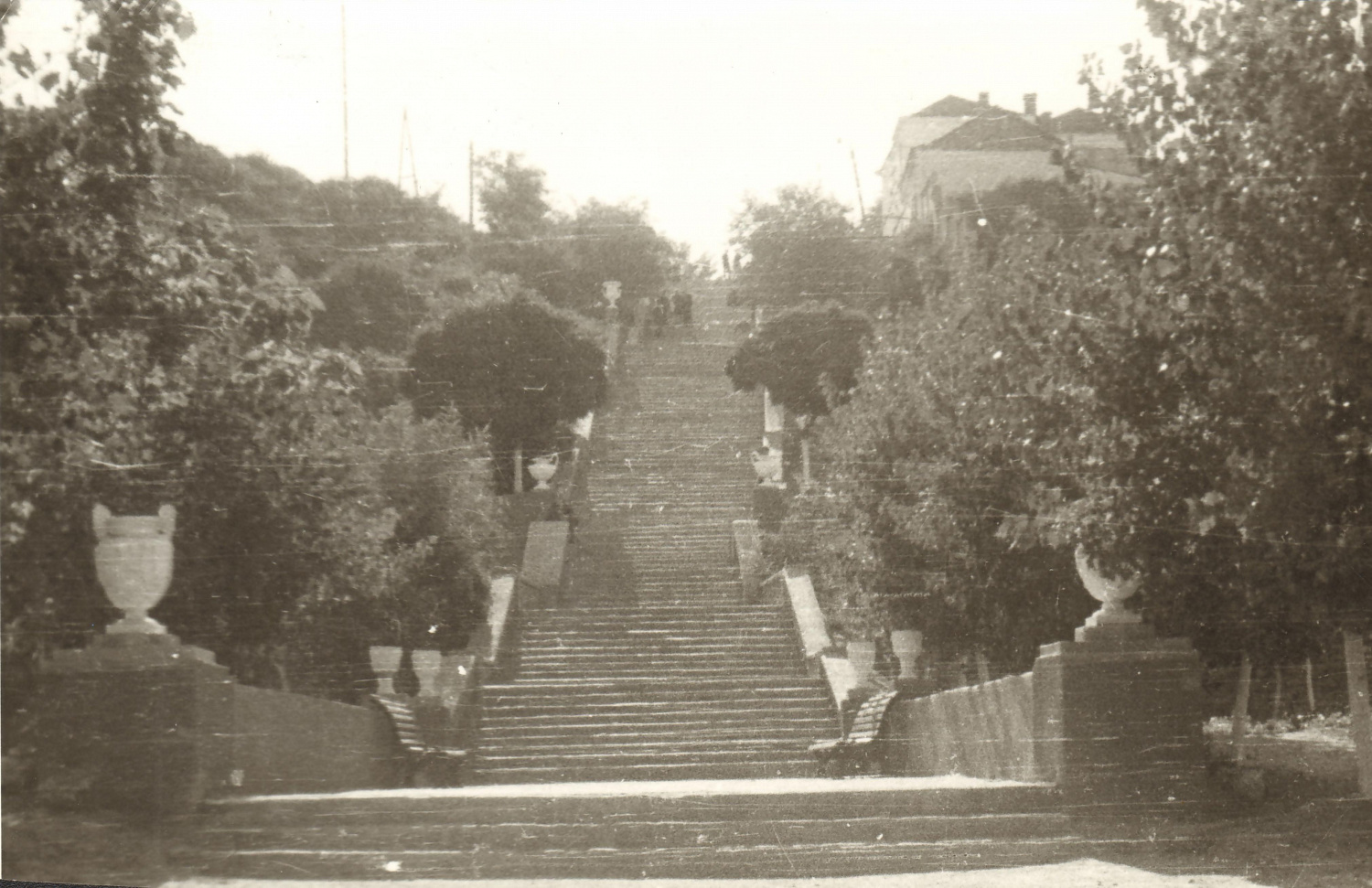 Каменная лестница 1947 г. Фото Л. Ревенко